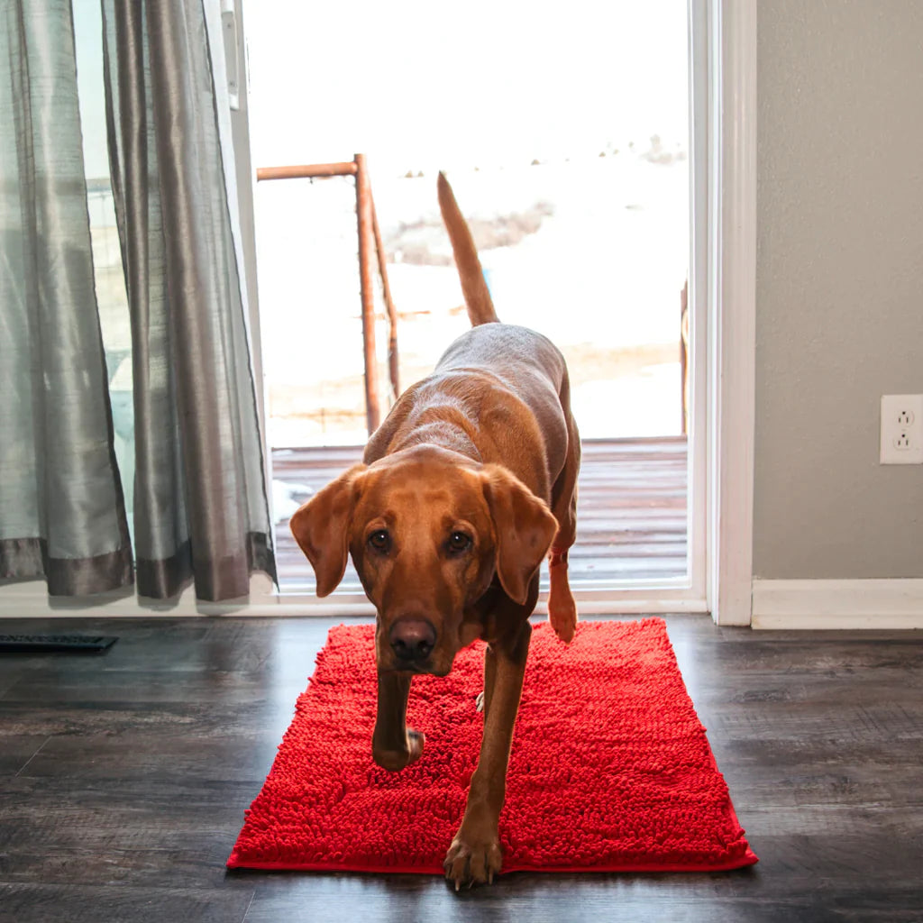 Tapis absorbant et antidérapant pour chiens