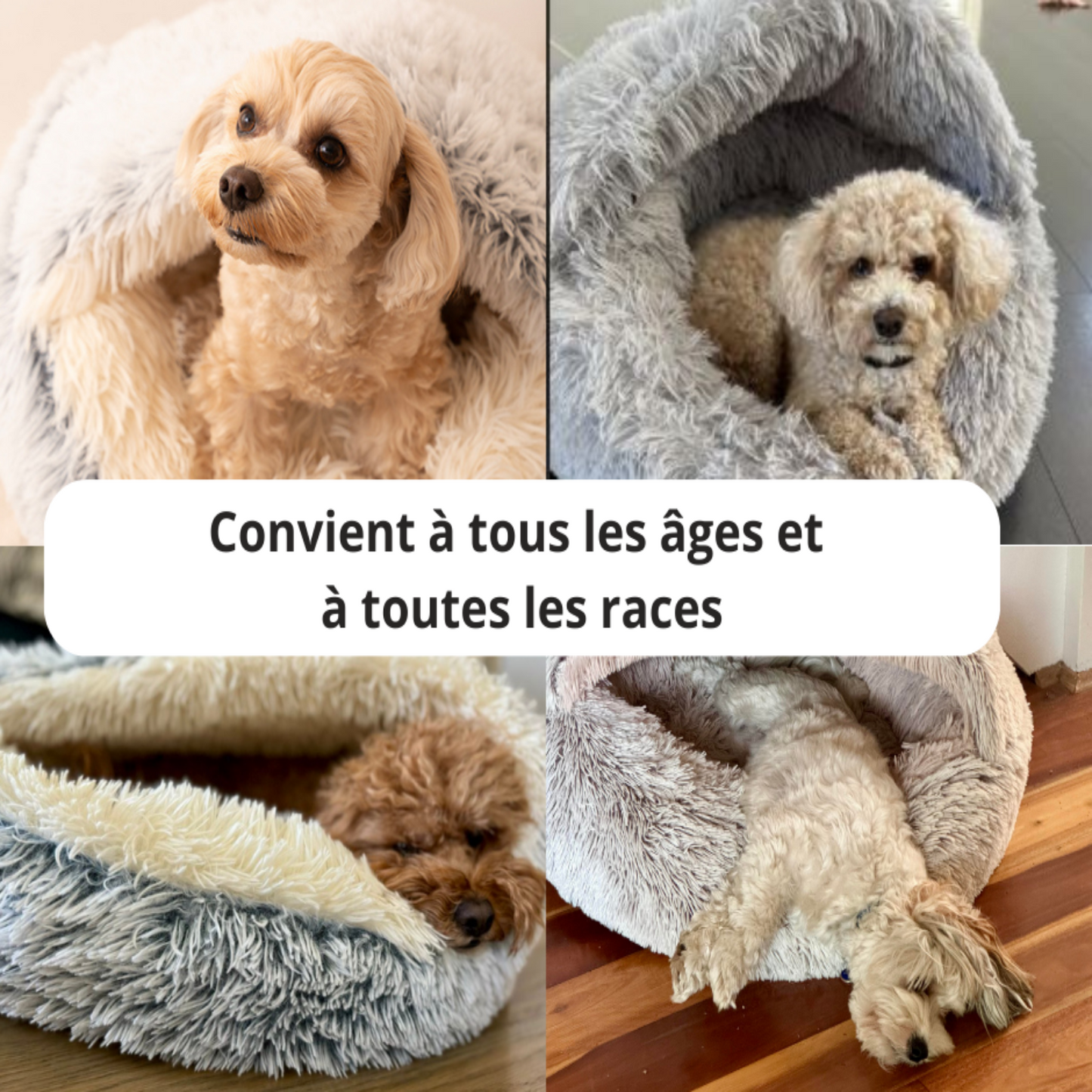 Lit Cocon Thérapeutique