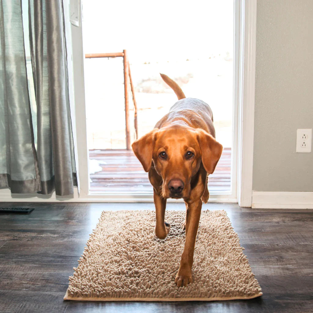 Tapis absorbant et antidérapant pour chiens